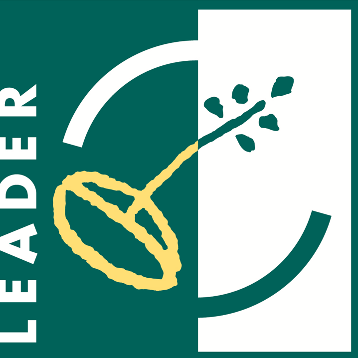 Logo de Leader